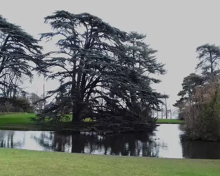 009 Ce jardin à l’anglaise était le lieu de promenade et de jeux pour les petits princes