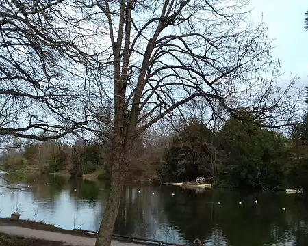 033 Le lac inférieur (1854) est le plus grand plan d’eau du bois de Boulogne