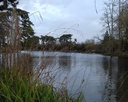 035 Les berges du lac