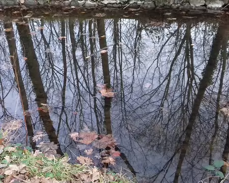 040 Merci Jean-Luc pour cette belle randonnée aux portes de Paris