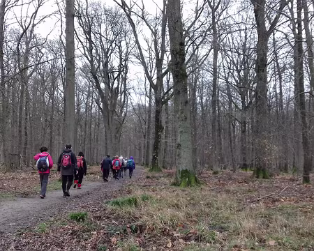 007 Dans la forêt des Hautes Bruyères sur le GR 11 (tour de l’Île de France)
