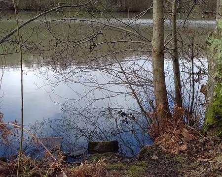 011 Reflets sur le grand étang