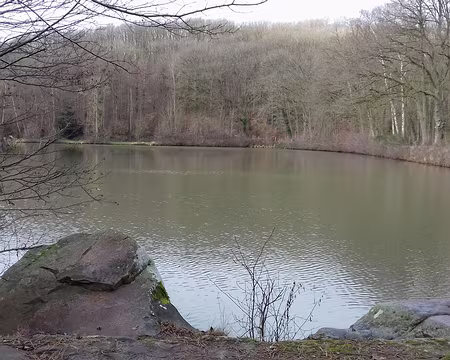 013 L’extrémité nord du grand étang