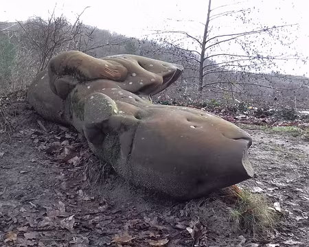 017 Bloc de grès près de l’étang