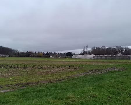 029 Cultures maraichères le long de la rue d’Yte (Saint-Rémy-L’Honoré)