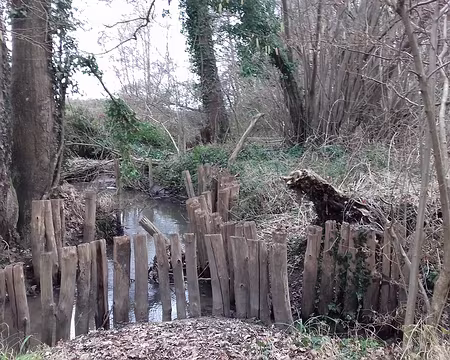 041 Berges renforcées pour limiter l’érosion