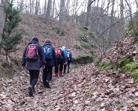 046 Le chemin du retour