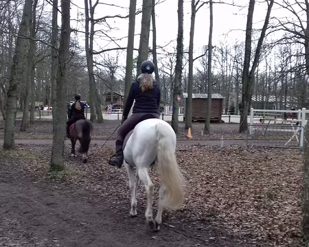 047 Centre équestre