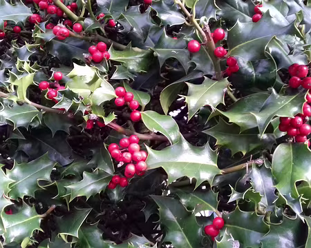 050 Merci Gilles pour cette belle randonnée dans la haute vallée de la Mauldre