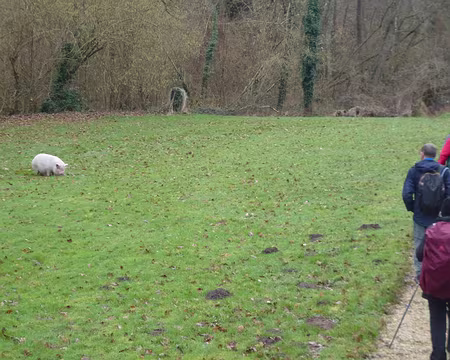 P1180690 Aire de pique-nique...