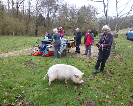 P1180693 ...et la truie, Saint-Martin-de-Bréthencourt.