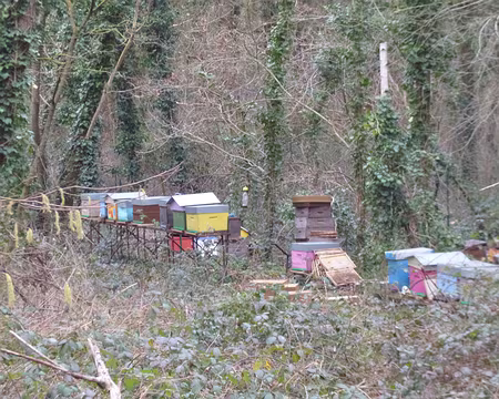 P1180697 Merci à Annie.