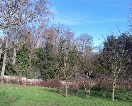 009 Le mur d’enceinte et le parc de la Petite Malmaison