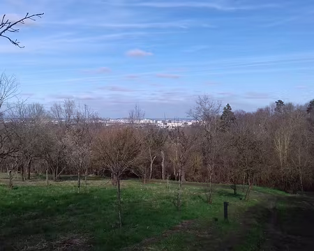 011 Les côteaux sont plantés de vergers. Au loin, Rueil-sur-Seine