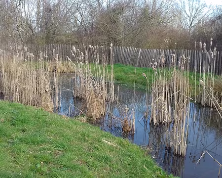 013 L’une des mares ont été créées dans le parc naturel des Gallicourts