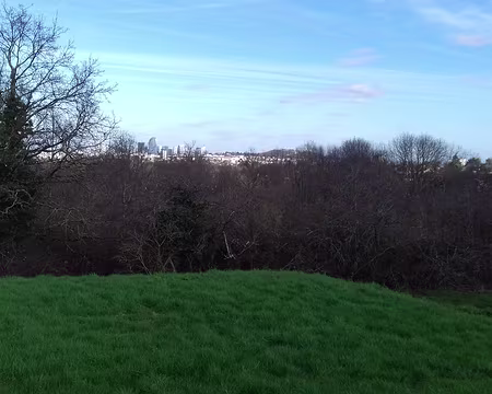 015 Vue sur La Défense et le mont Valérien depuis le belvédère