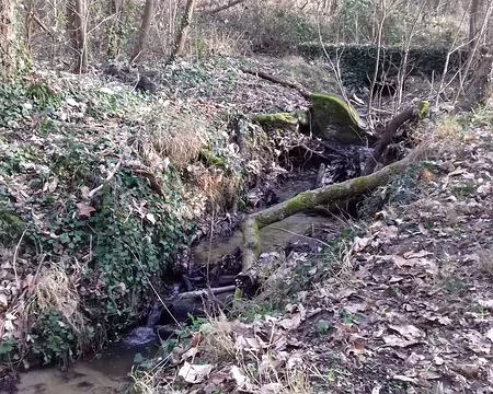 017 Le ruisseau de Saint-Cucufa