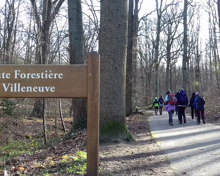 020 La route forestière de Villeneuve dans la forêt de la Malmaison