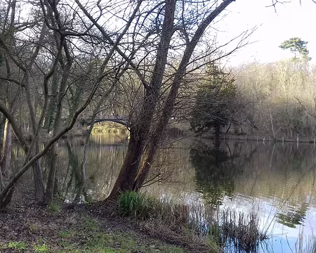 033 L’étang et la passerelle