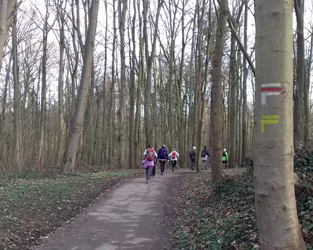 037 Chemins de randonnée dans le domaine national de Saint-Cloud