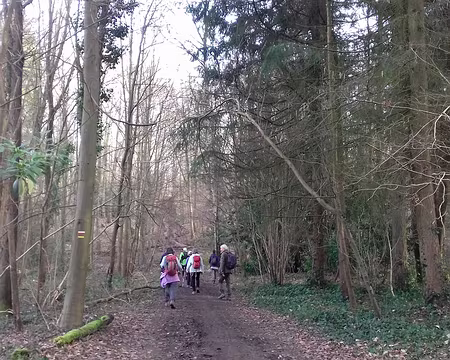 042 Dans la forêt domaniale de Fausses-Reposes (616 ha)