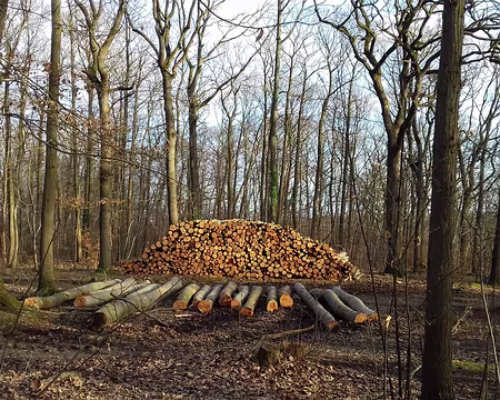 043 Cette forêt est gérée par l’ONF