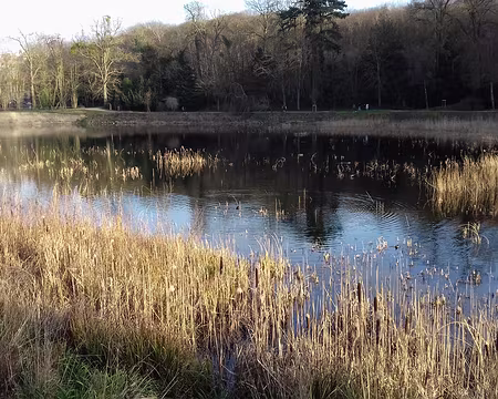 045 Reflets sur l’Etang neuf