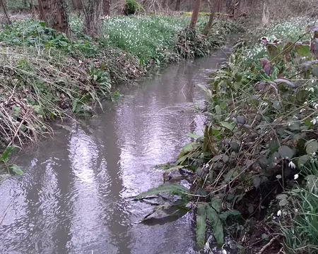 013 Le ru de Gally prend naissance dans le Grand Canal dont il accueille le trop-plein lors des fortes pluies