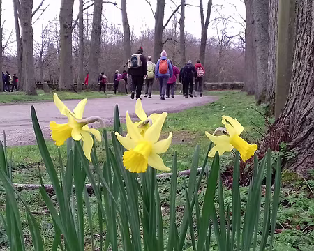 021 Le printemps arrive