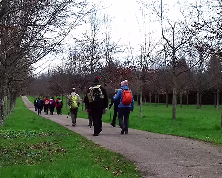 022 L’allée de la Reine