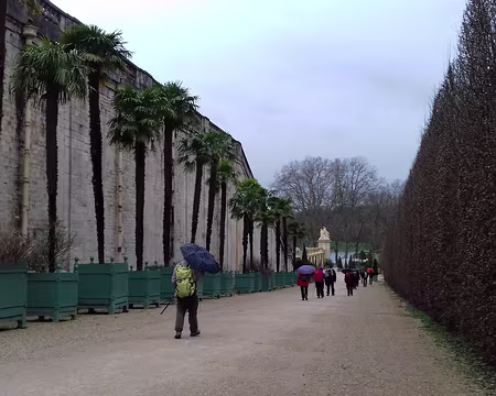 033 Allée bordée de palmiers près de l’orangerie