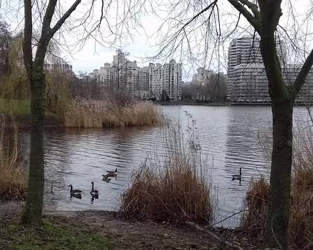 019 Les immeubles du Nouveau Créteil au bord du lac