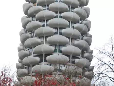 Dominique Dominique F, détail sortie