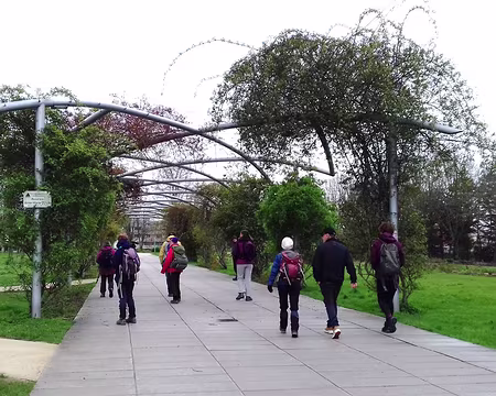 003 La roseraie Anne-Marie Doux à Guyancourt