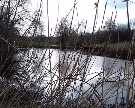 010 L’étang des Roussières (5 ha) a été aménagé pour stocker les eaux pluviales