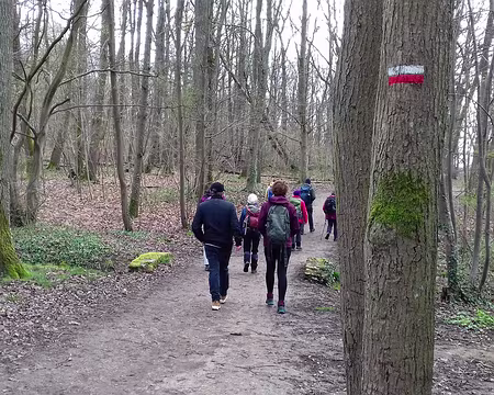 011 Le bois des Roussières est géré par l’ONF