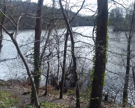 017 L’étang du moulin à Renard