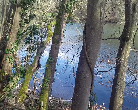 018 L’étang de la Minière