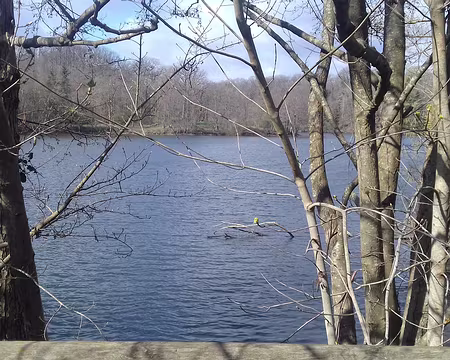 019 L’étang du Val d’Or