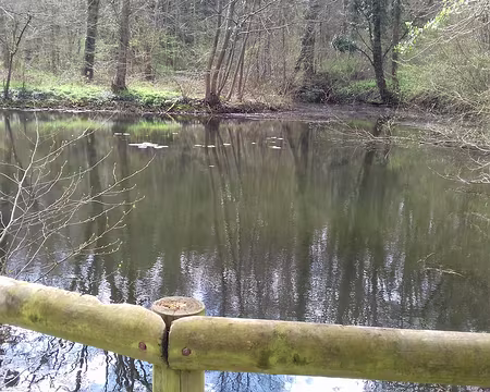 027 Petit étang dans le bois communal des Arcades à Buc
