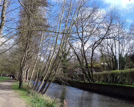 037 Chemin au bord de la Bièvre