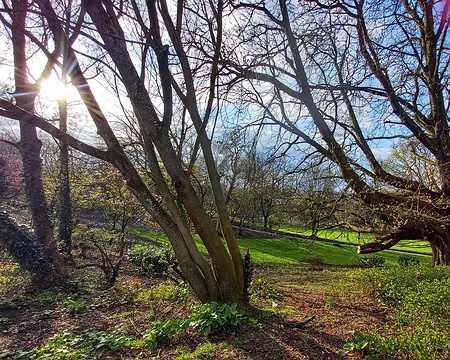 048 Face au parc de Forest.