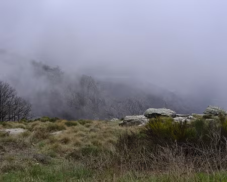 Par les brumes Par les brumes