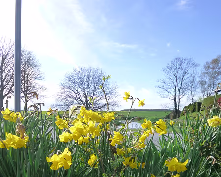 P1180832 Couleurs...