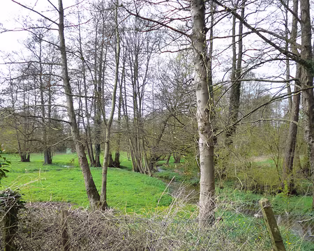 P1180846 Ru des Vaux