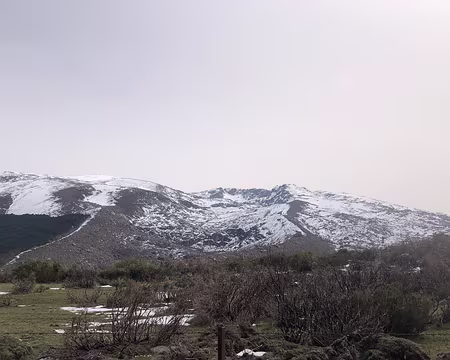 IMG_4981 Sierra de Béjar