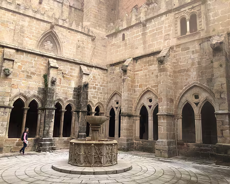 IMG_5155 Cathédrale neuve de Plasence