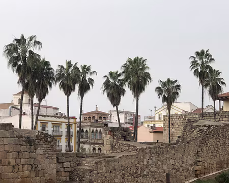 IMG_5239 Vue depuis l’alcazaba à Mérida