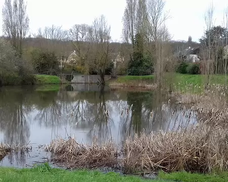 007 Un étang (Les Clayes-sous-Bois)