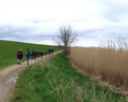 035 Entre cultures et zones humides